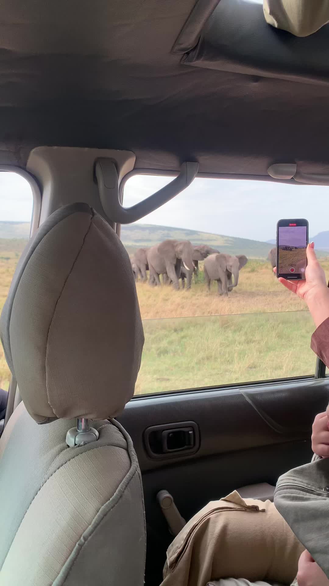 @Zangada Africa