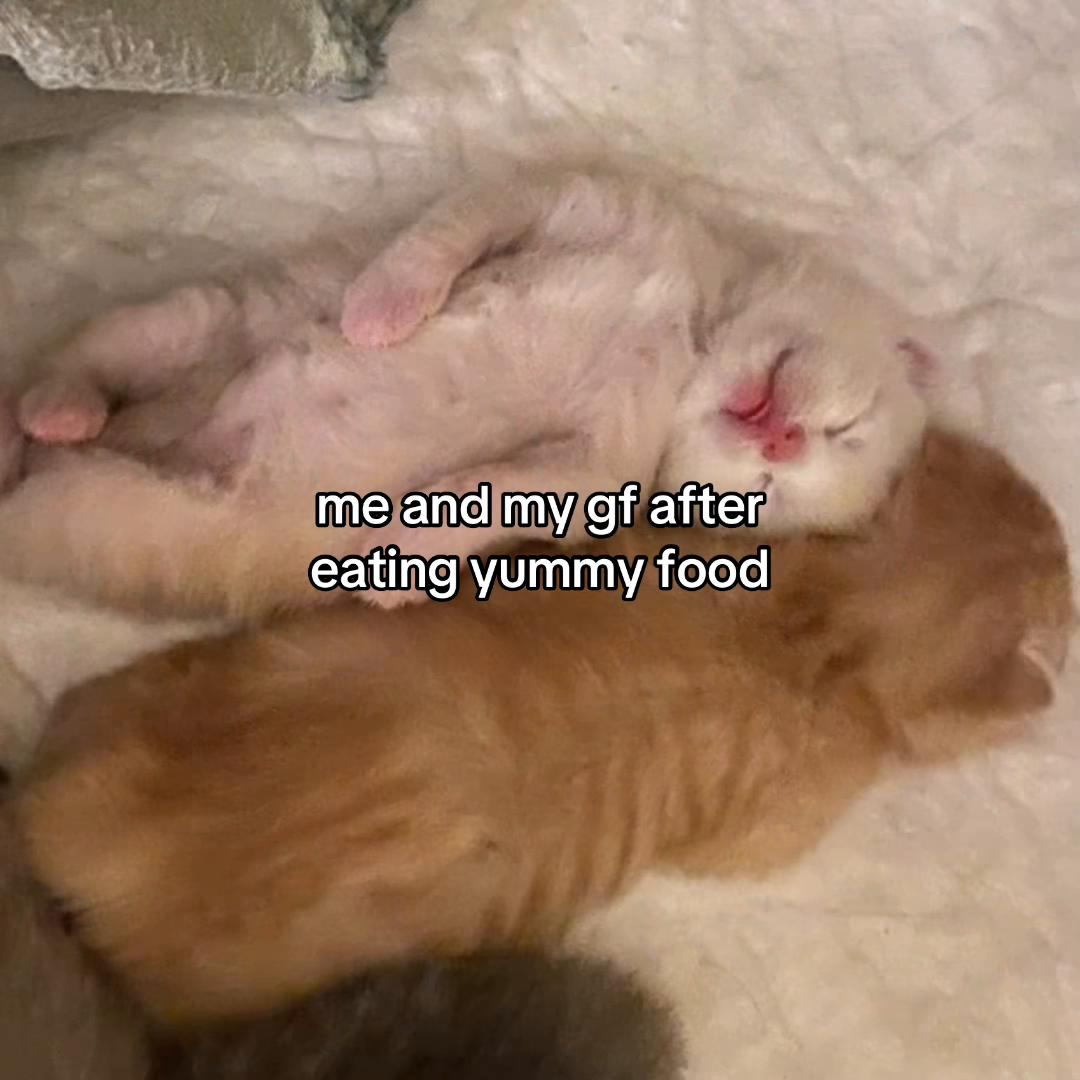 @Alice.cattok