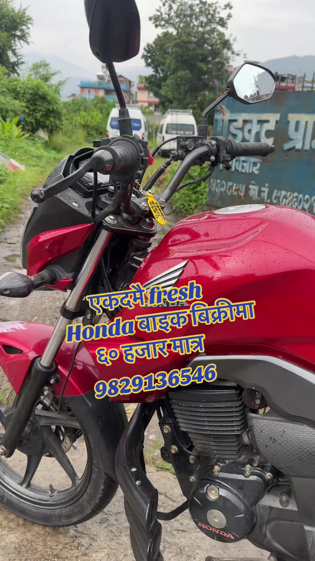 @राम्चेदेबि रिकन्डिसन (pokhara)
