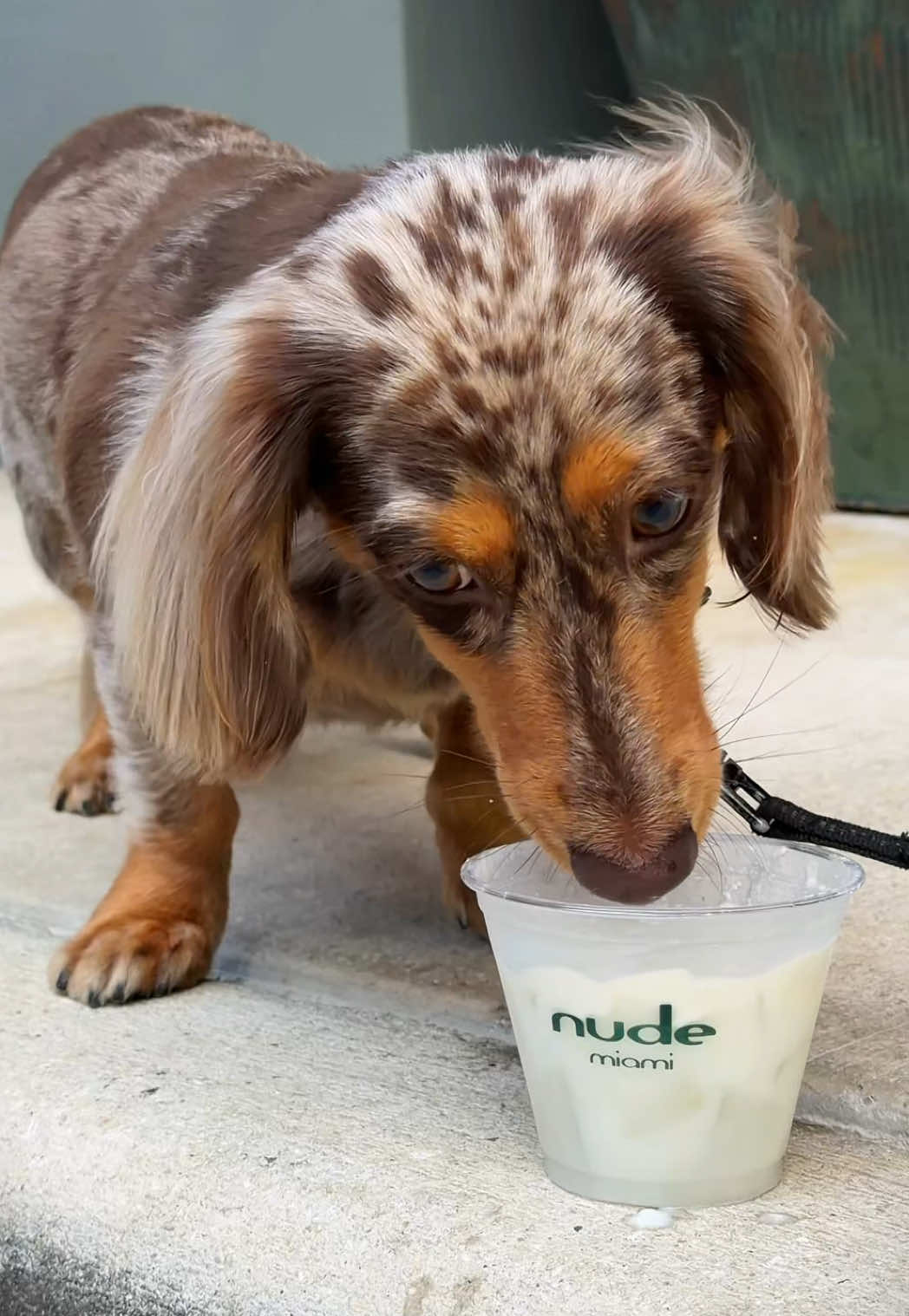@Nude Miami