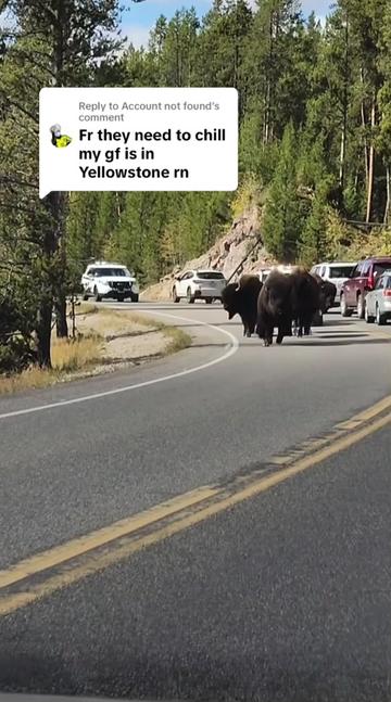 @Yellowstone National Park