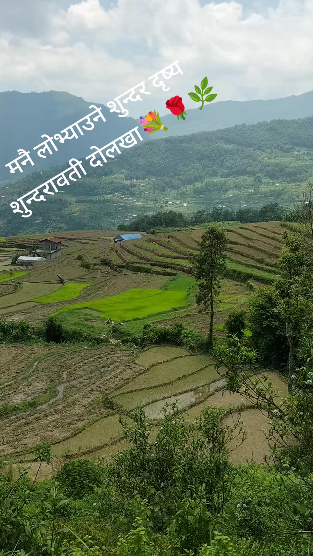 @Nawraj Dahal