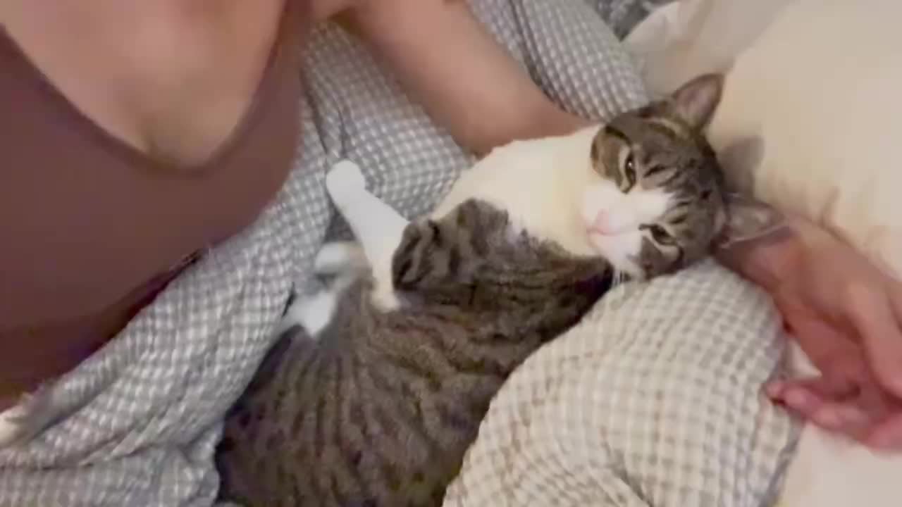 @MimitheNapcat
