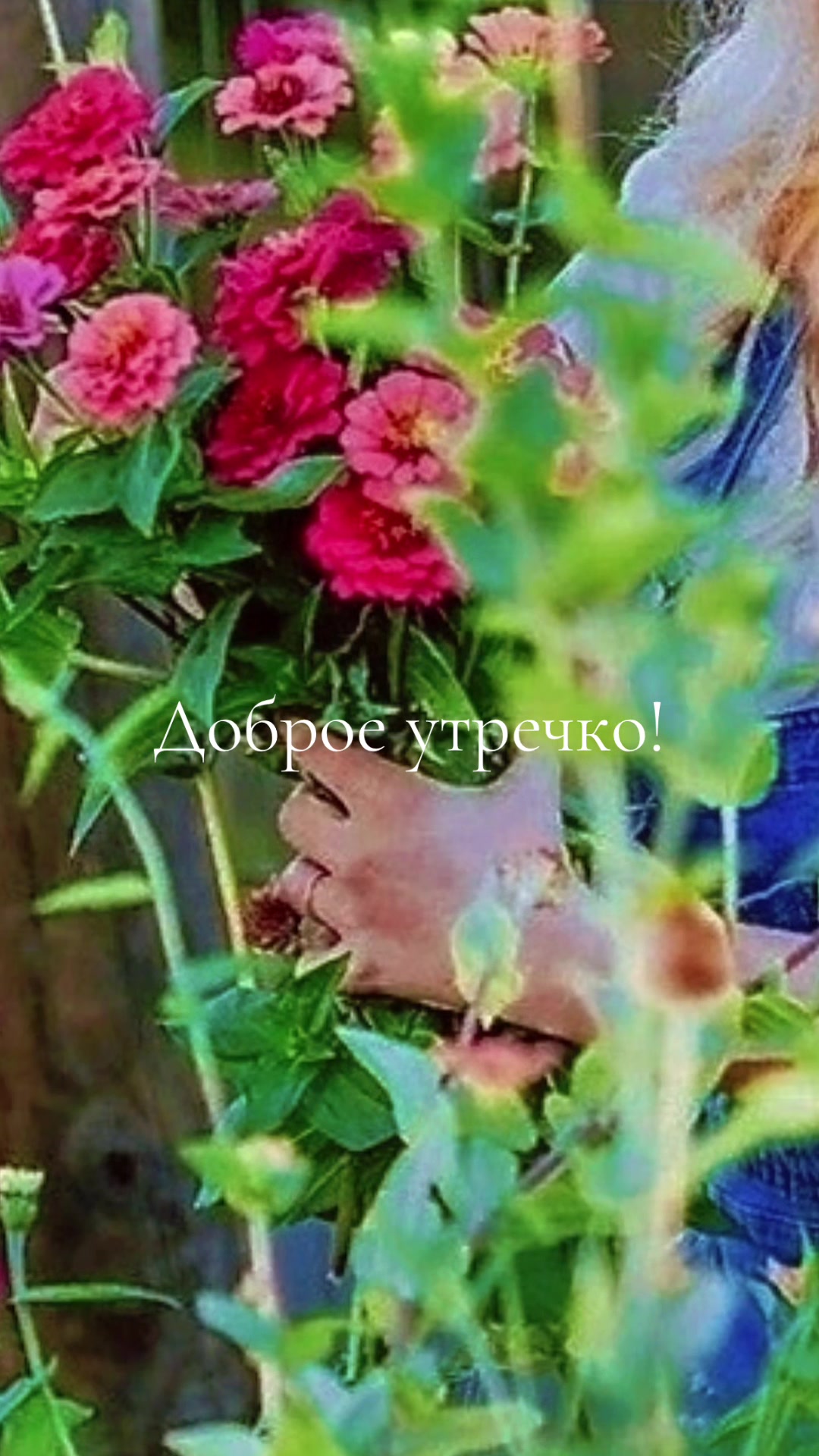 @Файруза Ковалинская