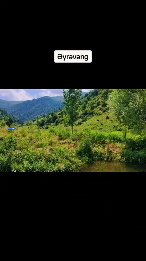 @Anar_Əliyev