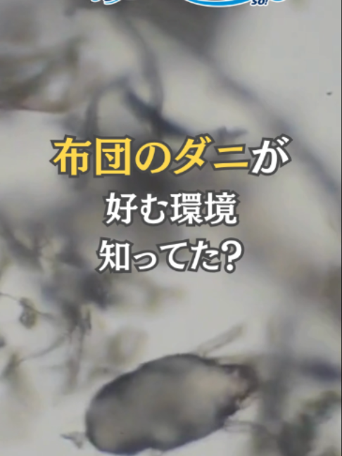 @コインランドリー爽片山坂店