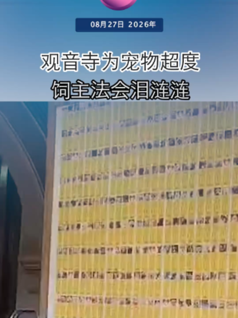 @中国报