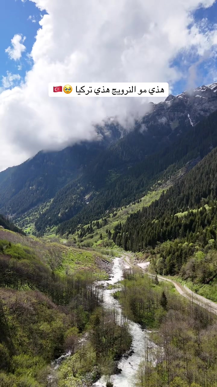 @نجود الشريف 📸🍂