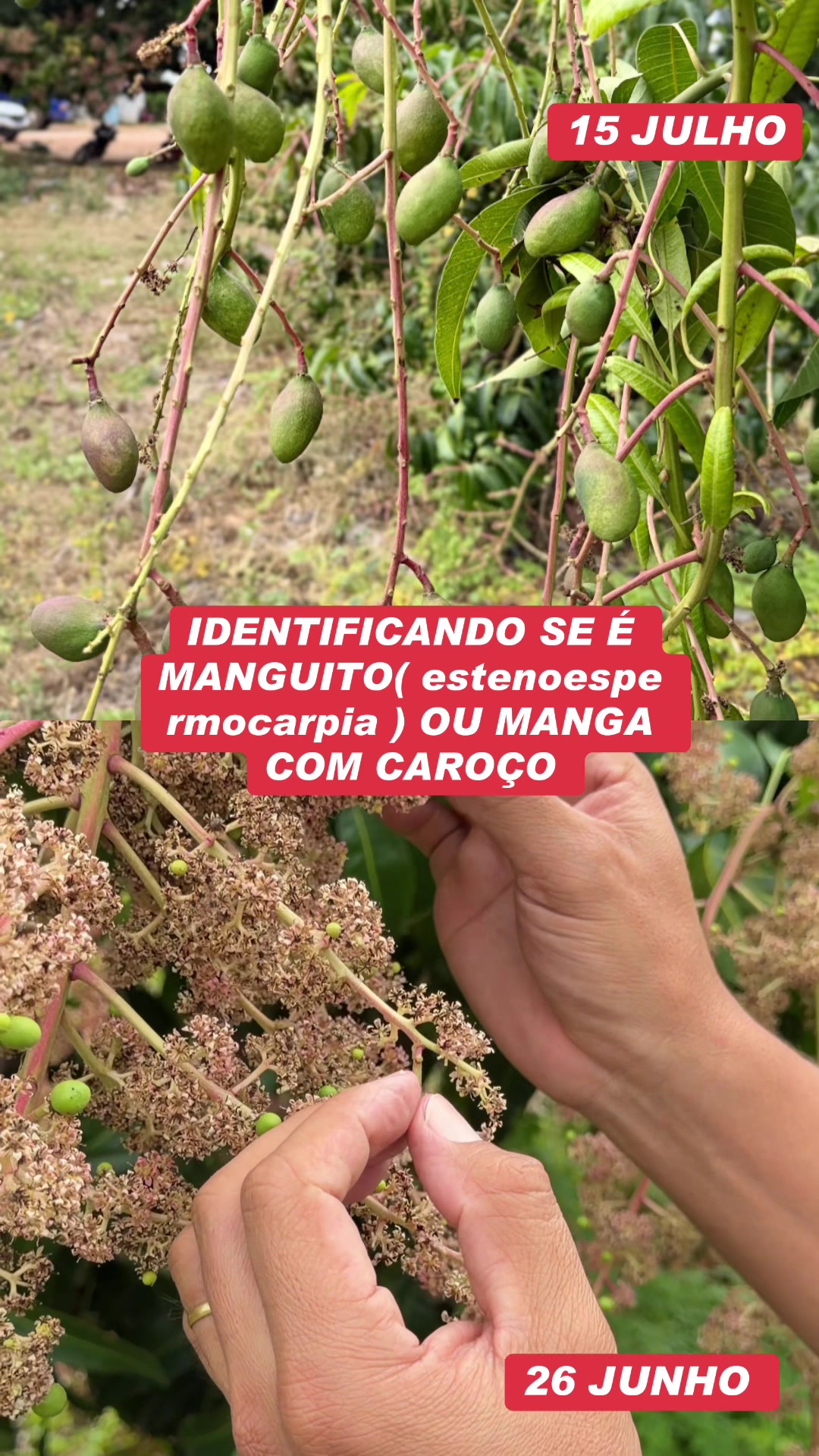 @flavio12inoveagro_oficial