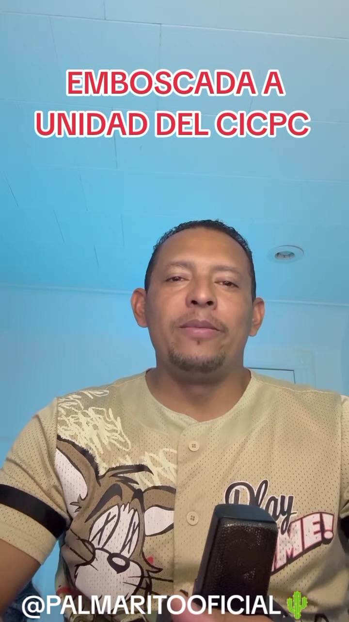 @PALMARITOOFICIAL 🌵