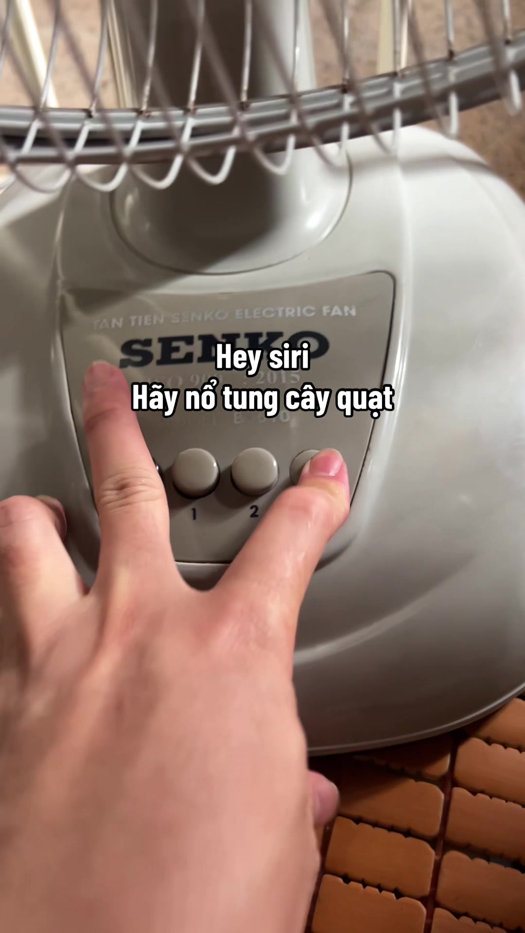 @Kh&aacute;nh h&iacute; qu&ecirc; Bạc Li&ecirc;u