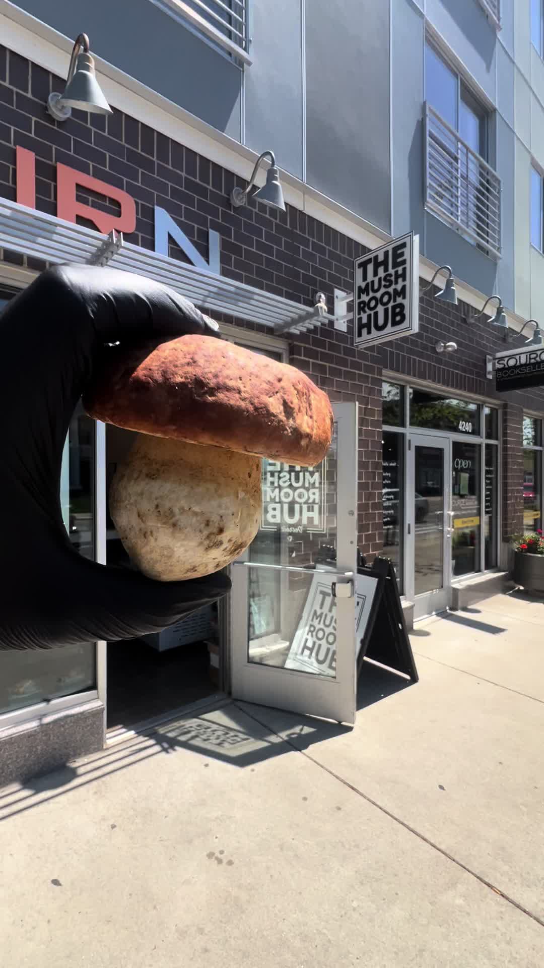 @The Mushroom Hub