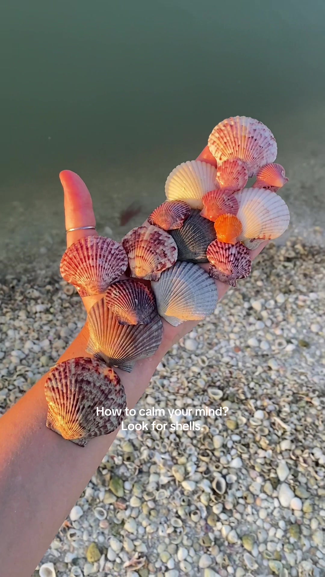 @🐚Jojo🌴