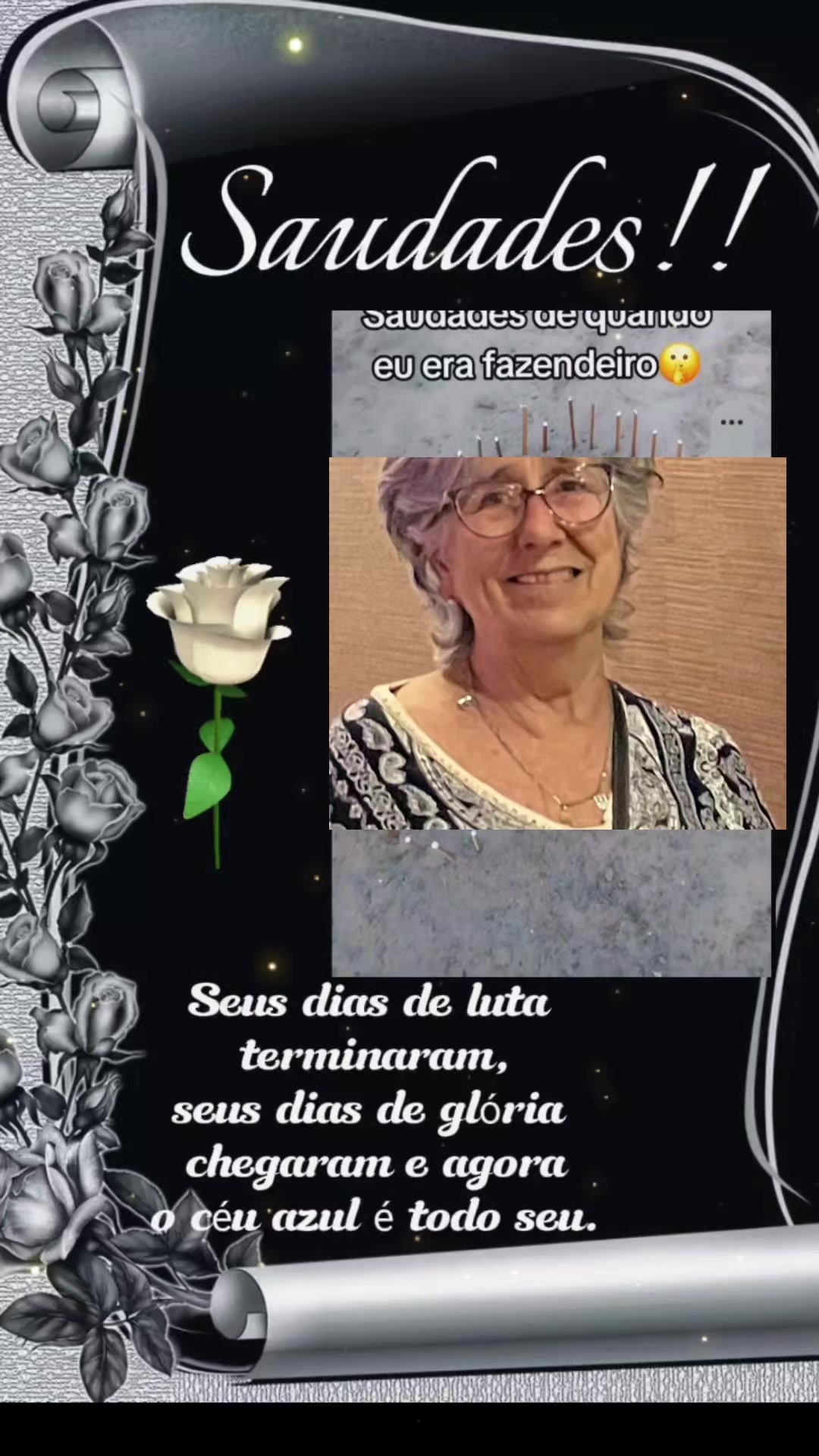 @Terezinha Lira