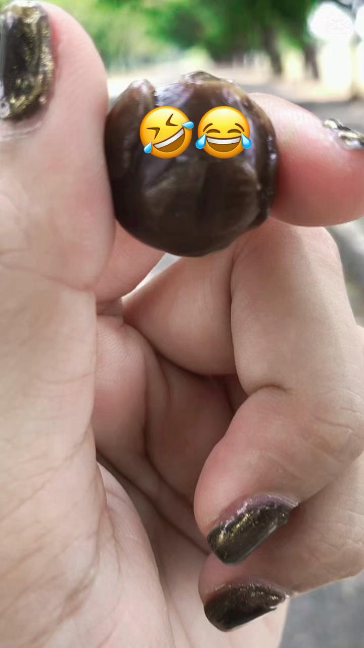 @Candy_Hamer