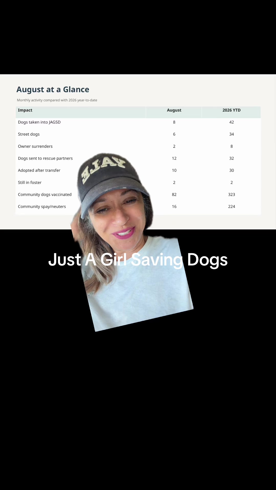 @Just A Girl Saving Dogs