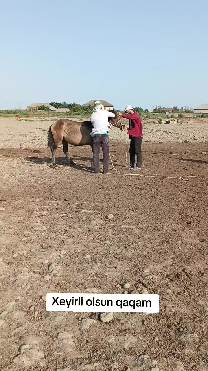 @Zehertulugu_44