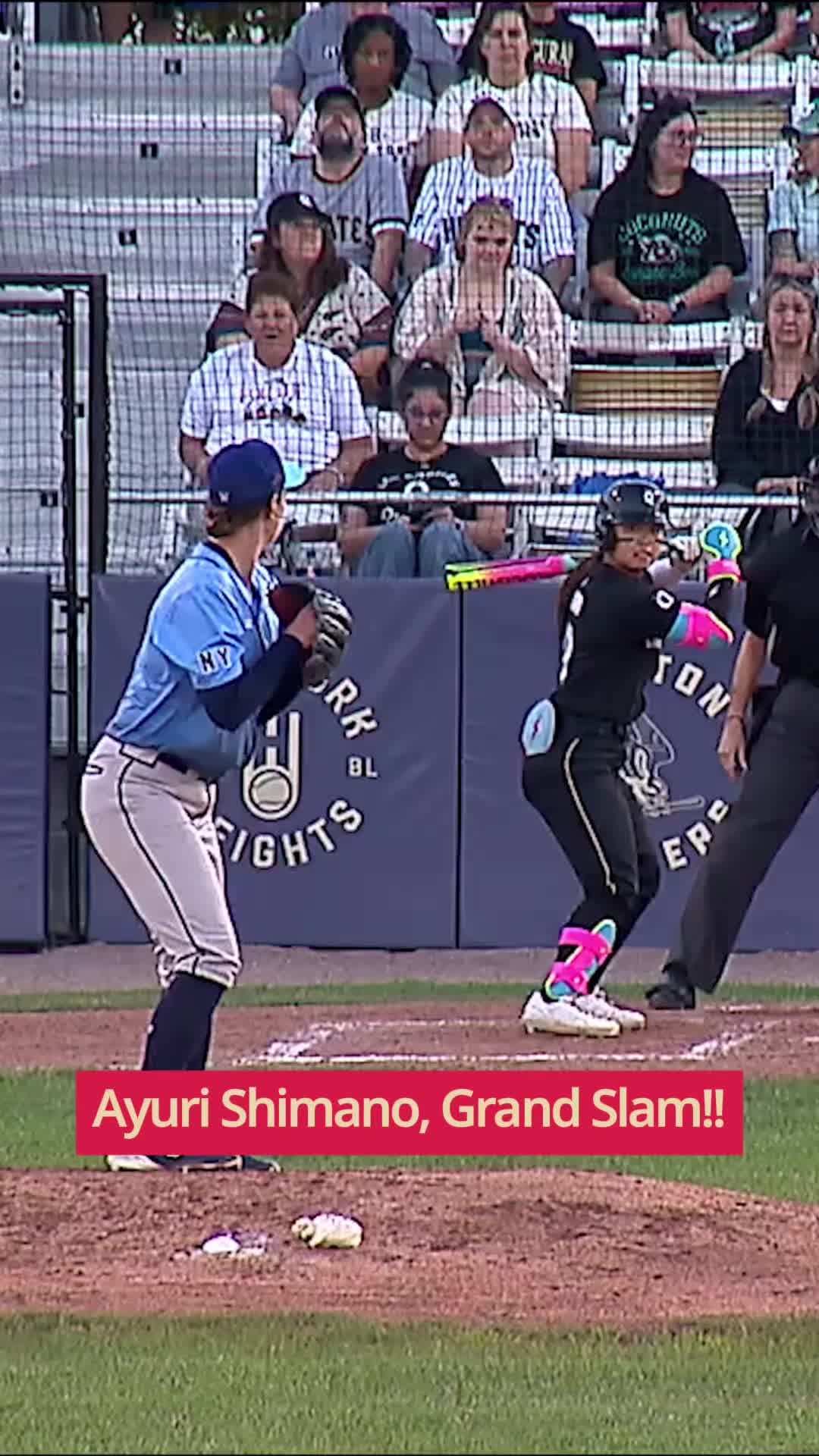 @Women's Pro Baseball League