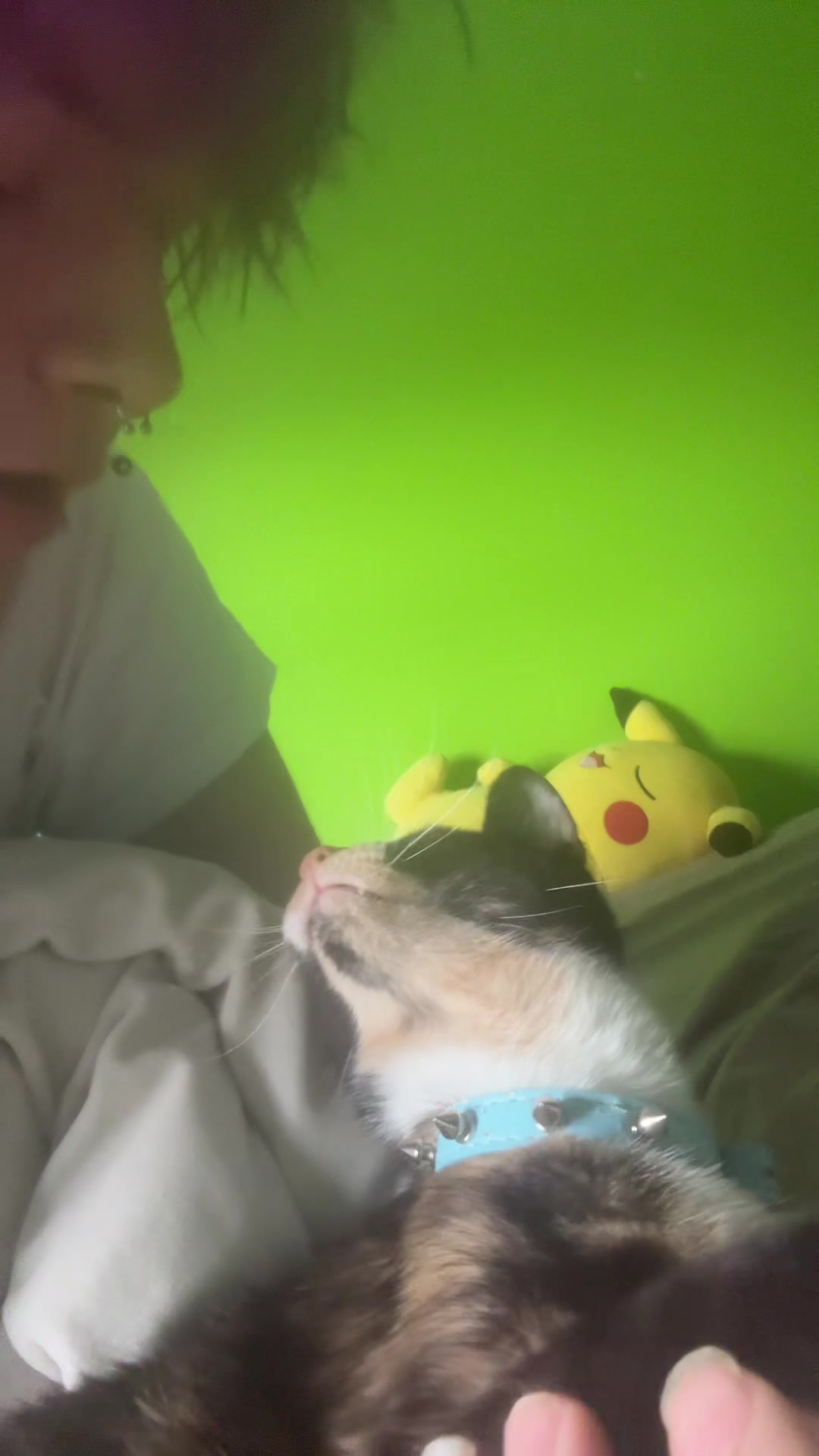 @rabbidsaremyfavorite