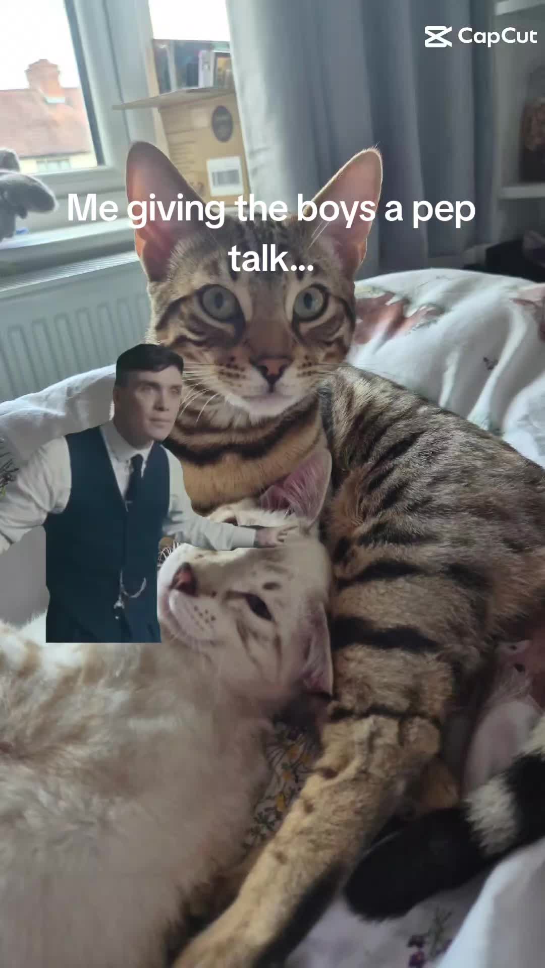@brattylittlerainbowgirl