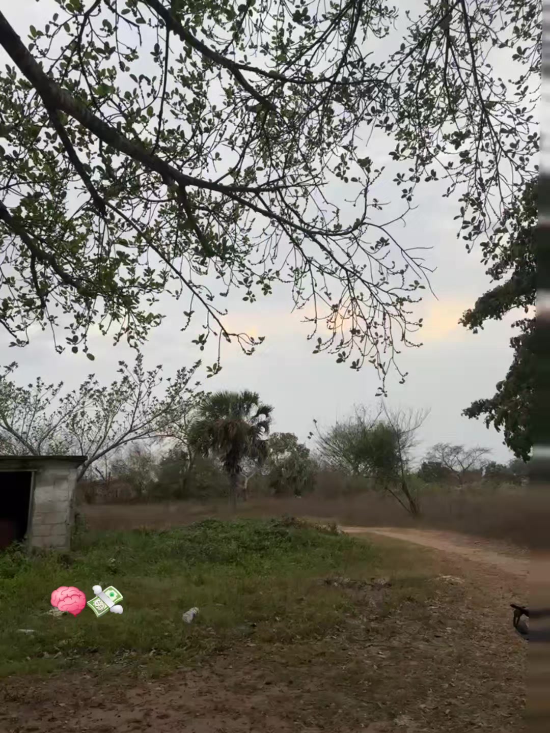 @A.A.C🦈