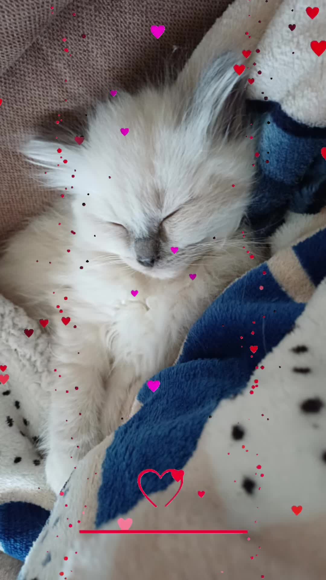@Chiara 🥰🥰🥰