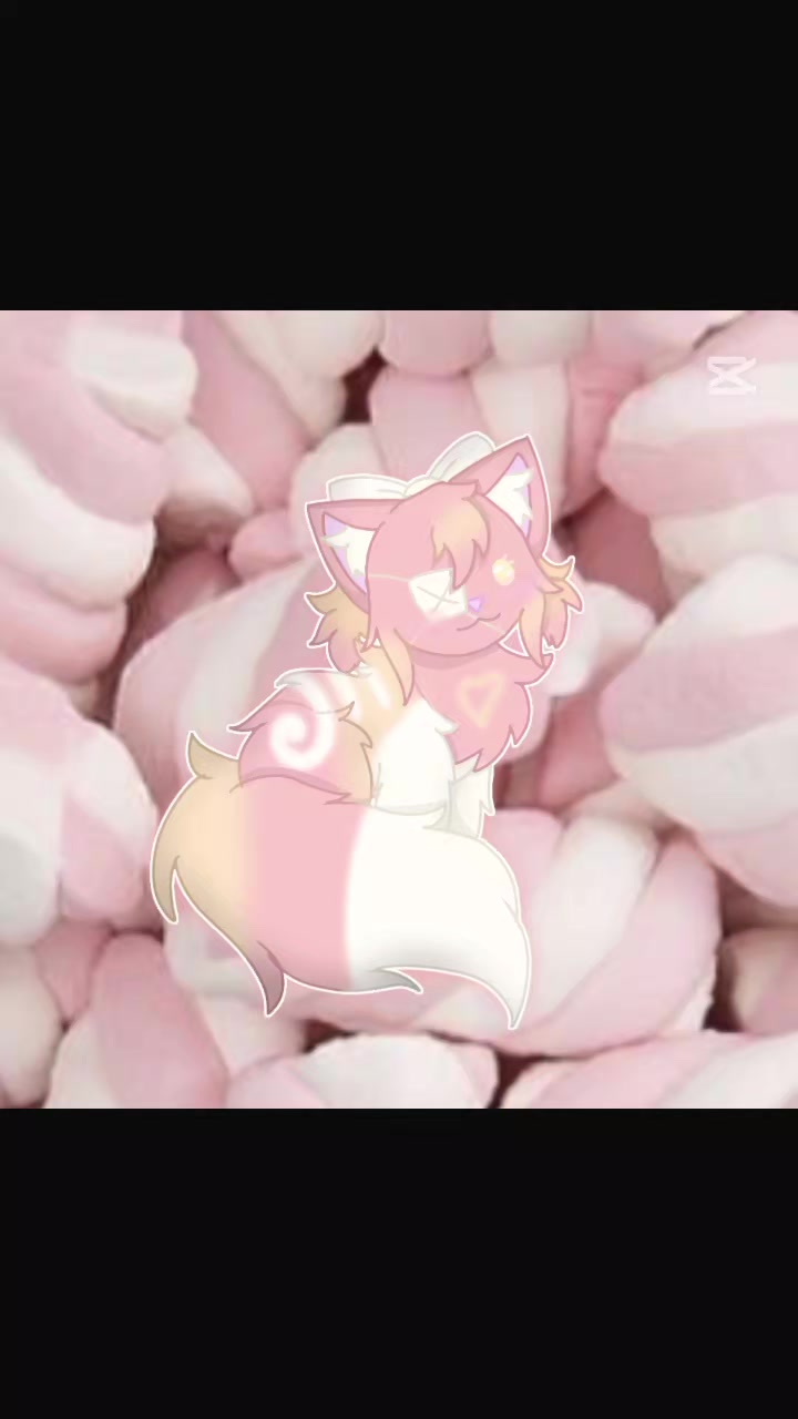 @cakemix 🔜 animaga