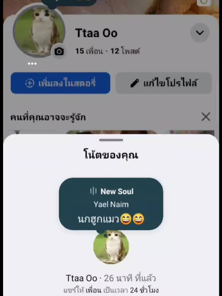 @นกฮูกแมว