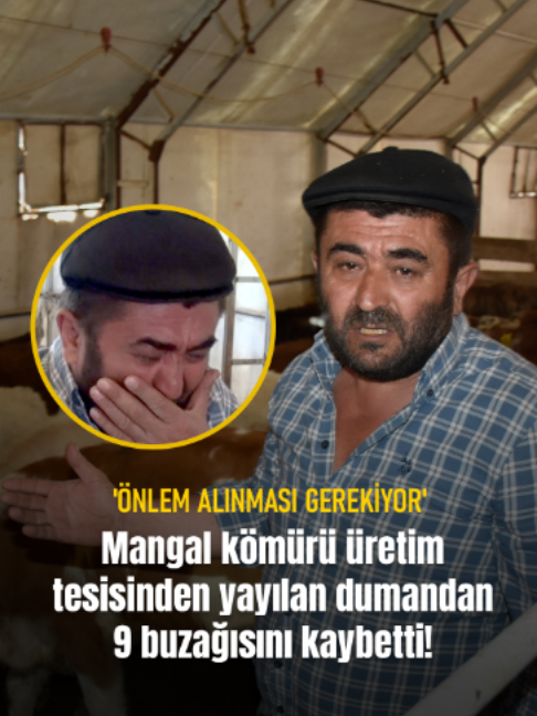@Mynet