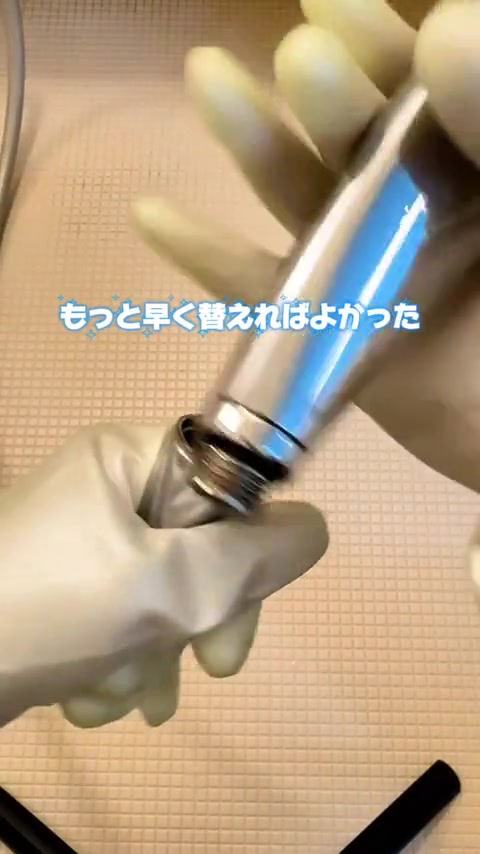 @しんのすけ🐾