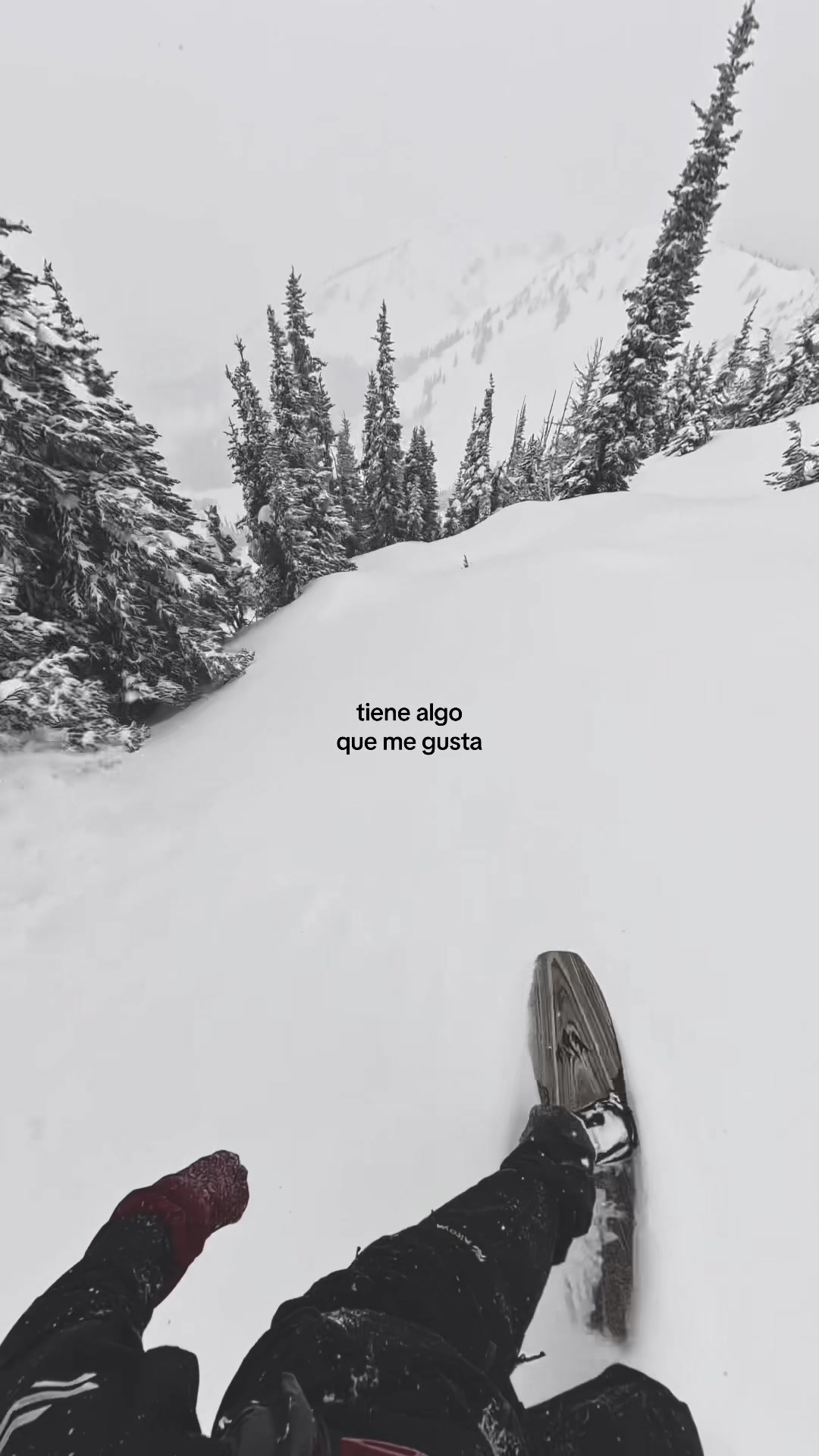 @🌴