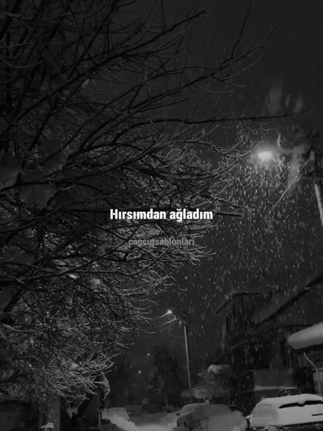 @Capcut Şablonları