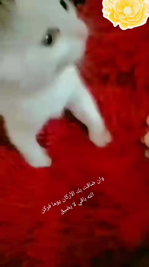 @احزان اليل