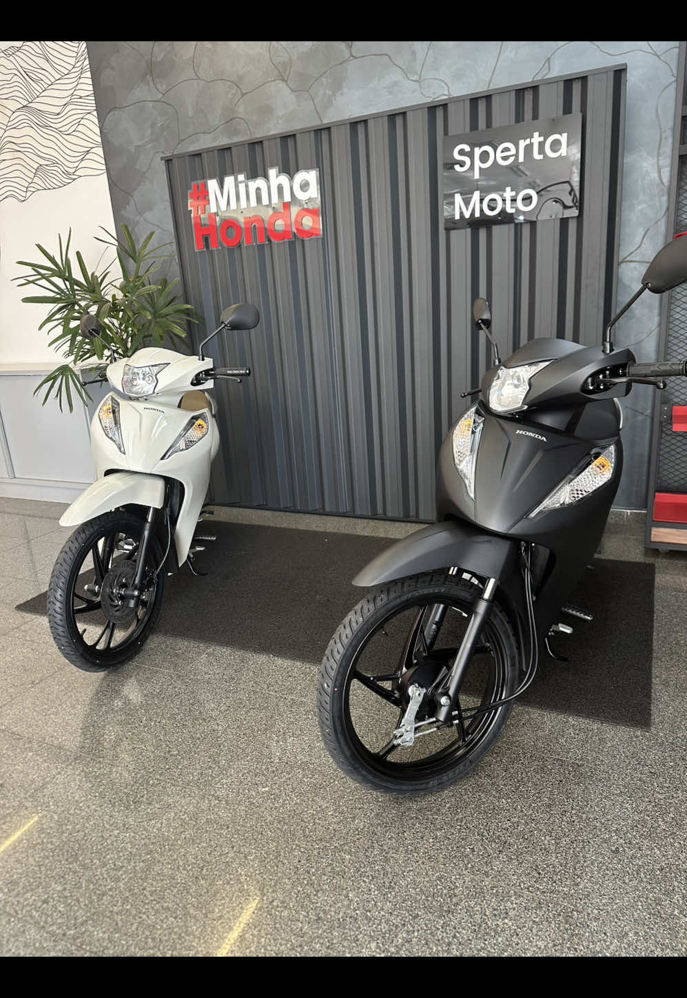 @Bianca Valentin honda