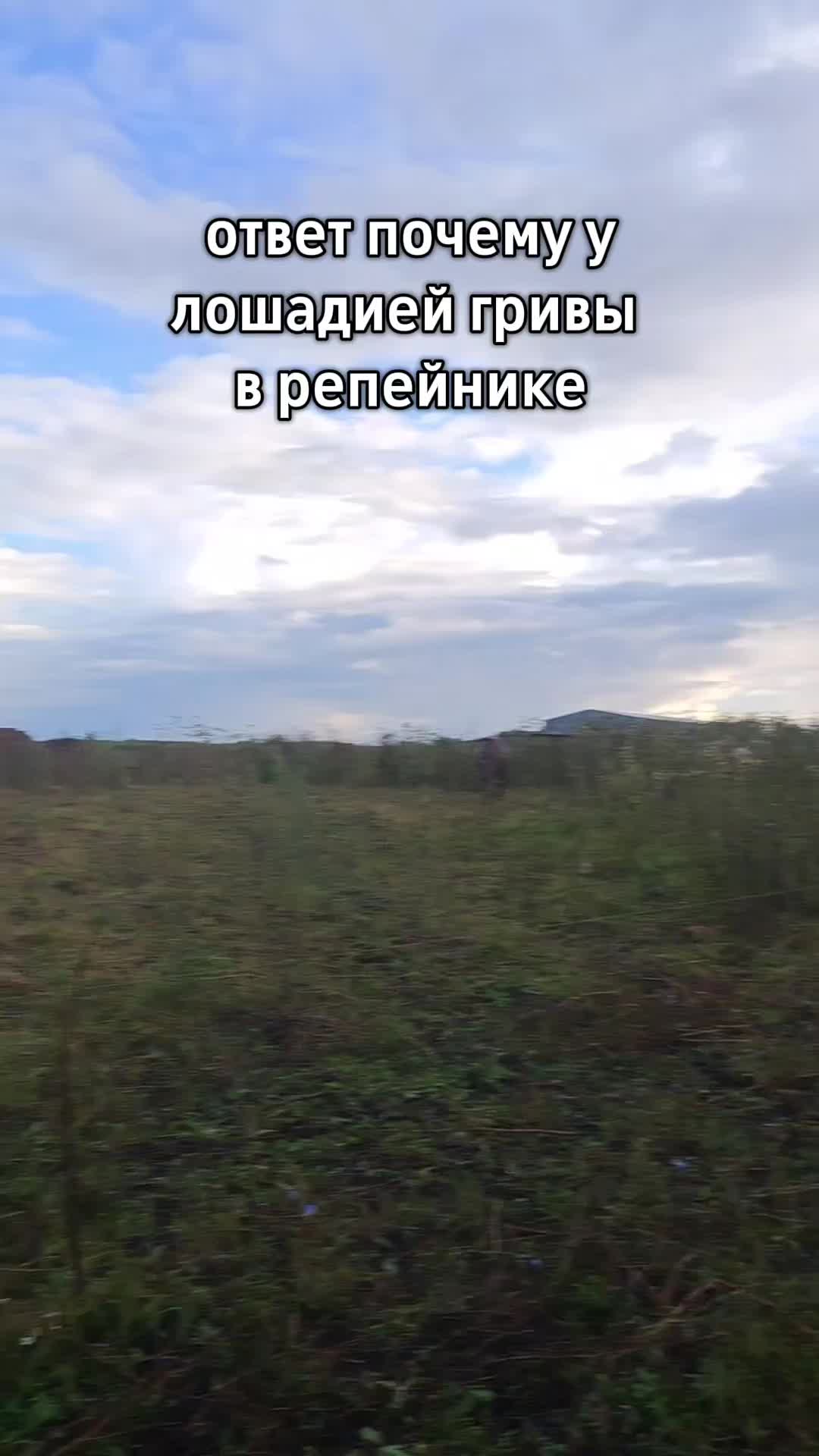 @FermerSarman