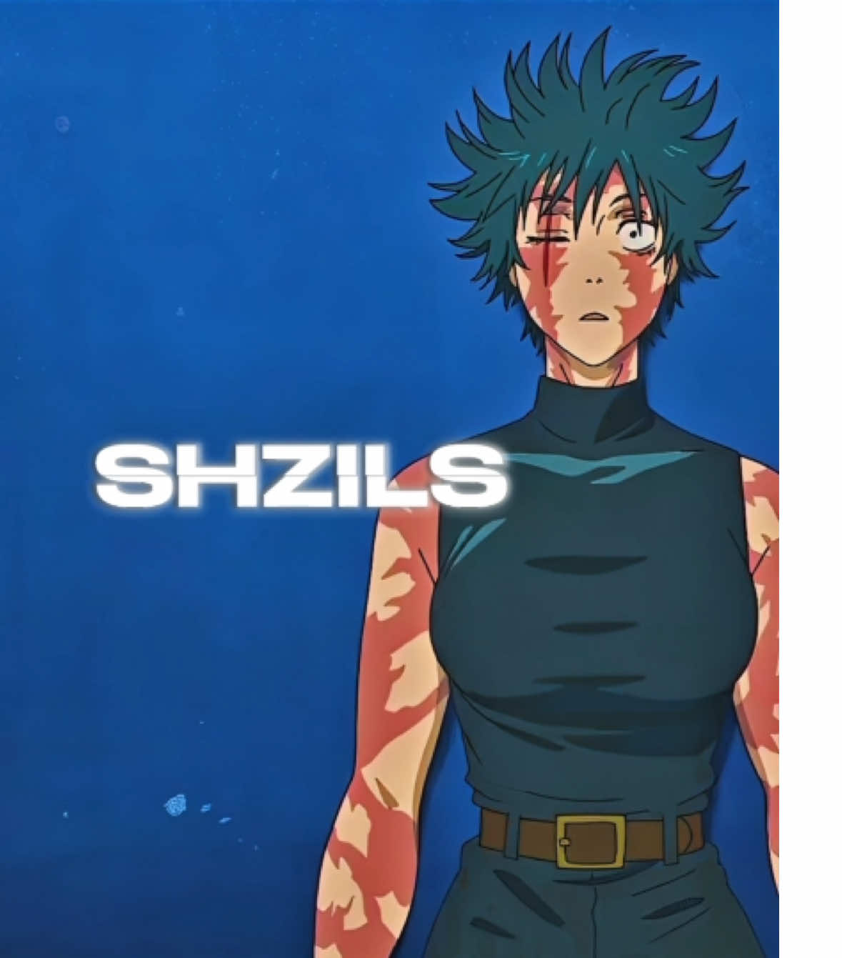 @Shzils729