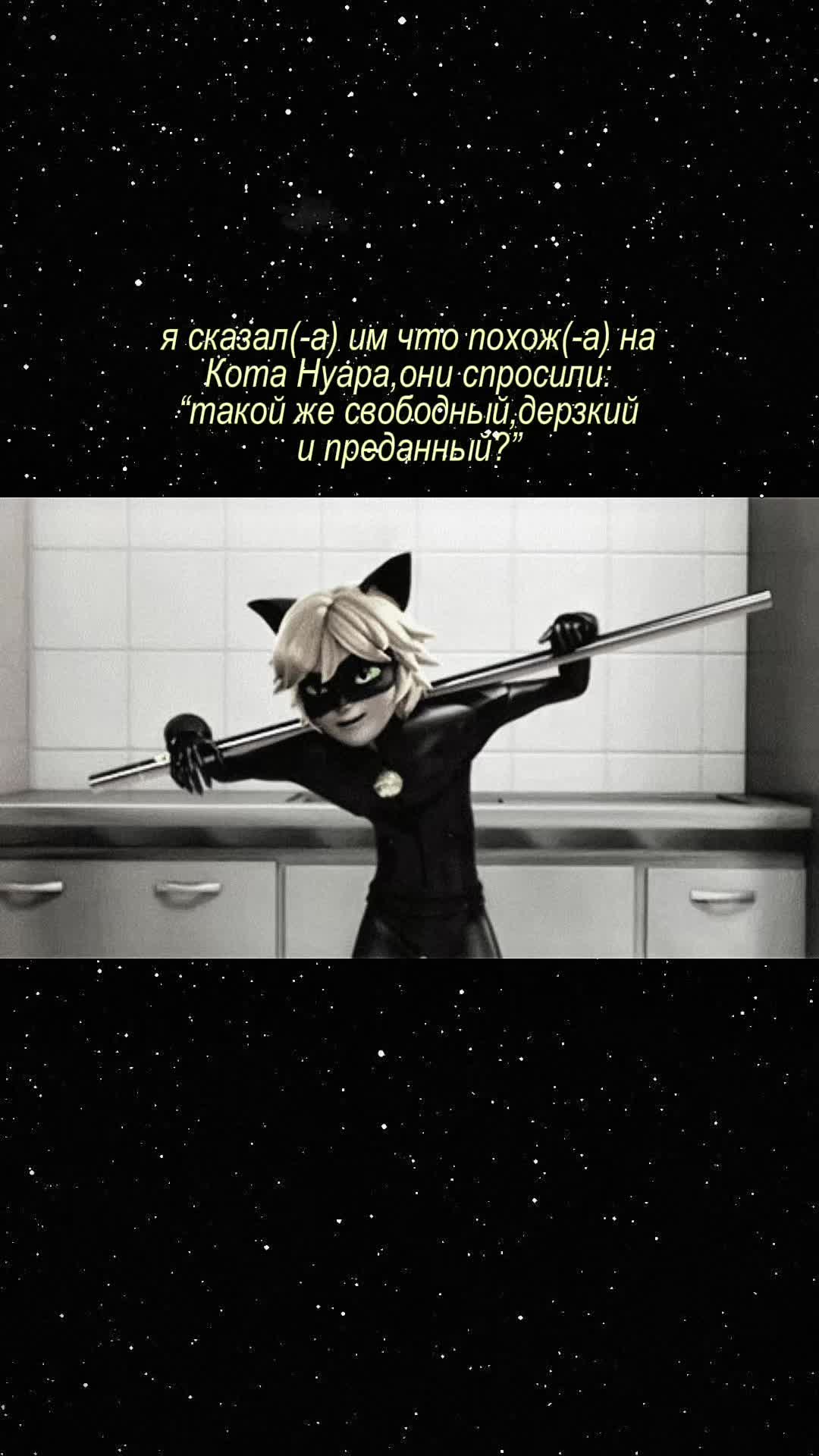 @miiźy&ntilde;-zh&aacute;n🐈&zwj;⬛