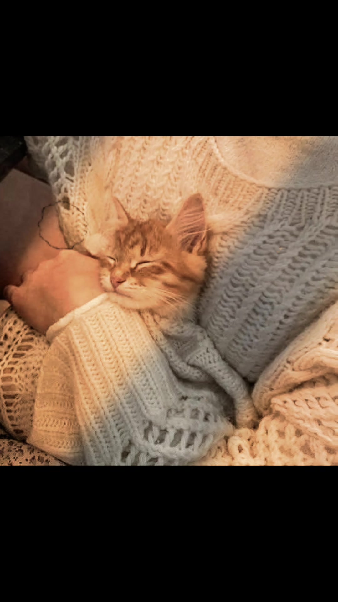 @تعلم ثم تكلم🥰