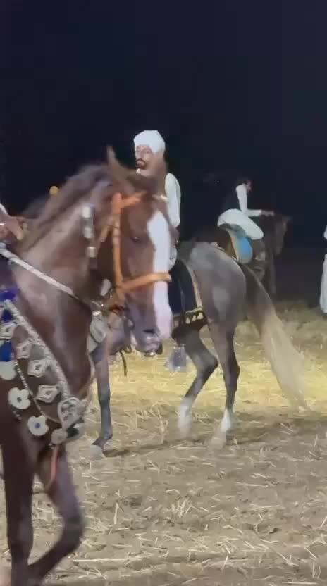 @RAJA SAQIB ALI SAQI
