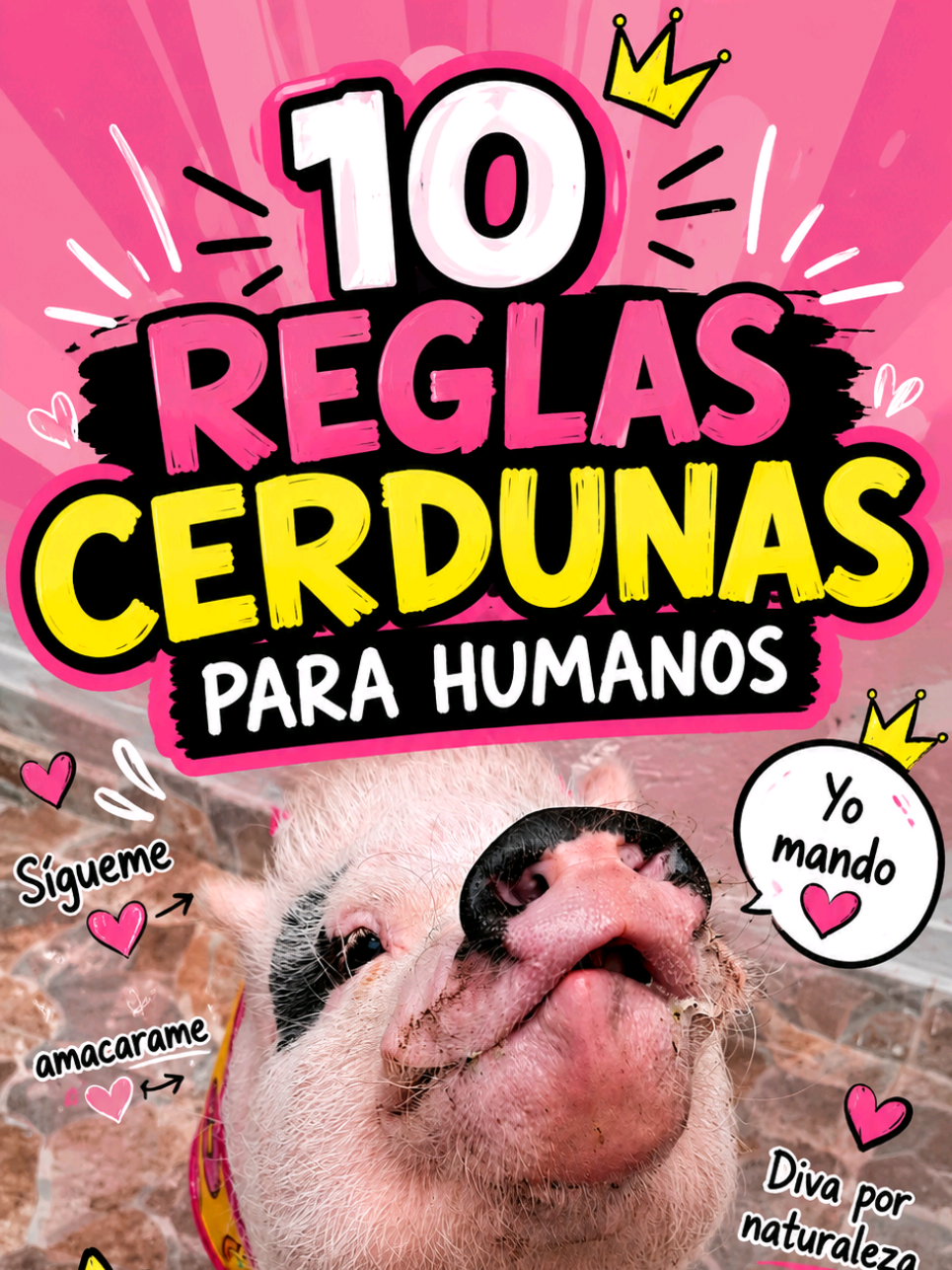 @🐷Ibi.pig🐷