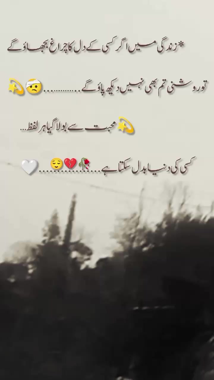 @🦅کشمیری رائٹس 🍁(◕‿-)