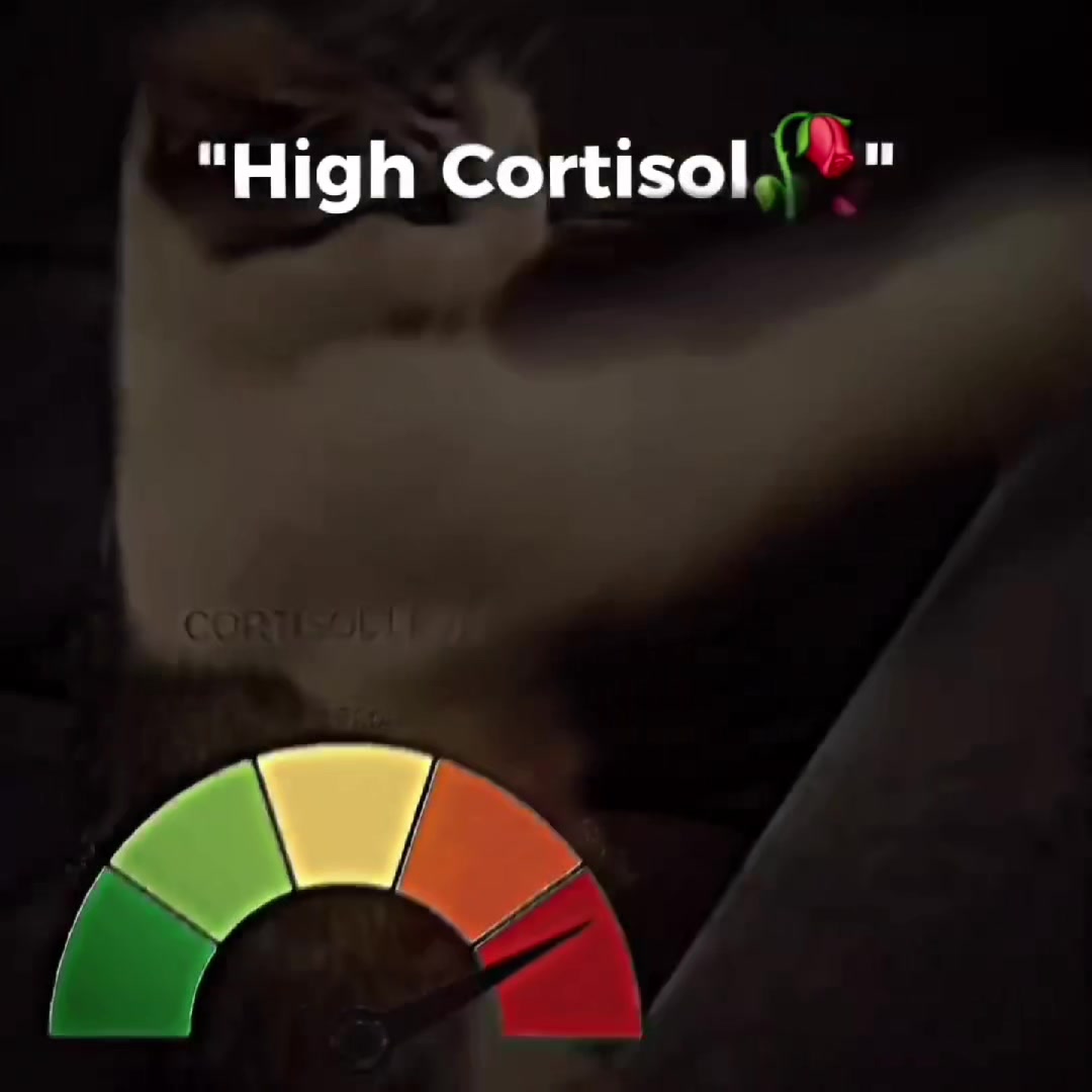 @𝑶𝑳𝑰𝑽𝑬𝑹