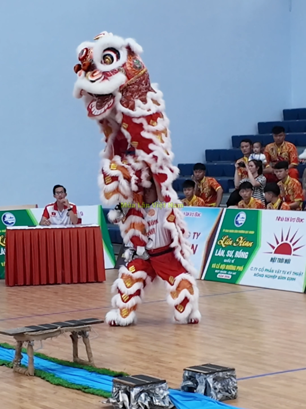 @M&uacute;a L&acirc;n Việt Nam 🇻🇳