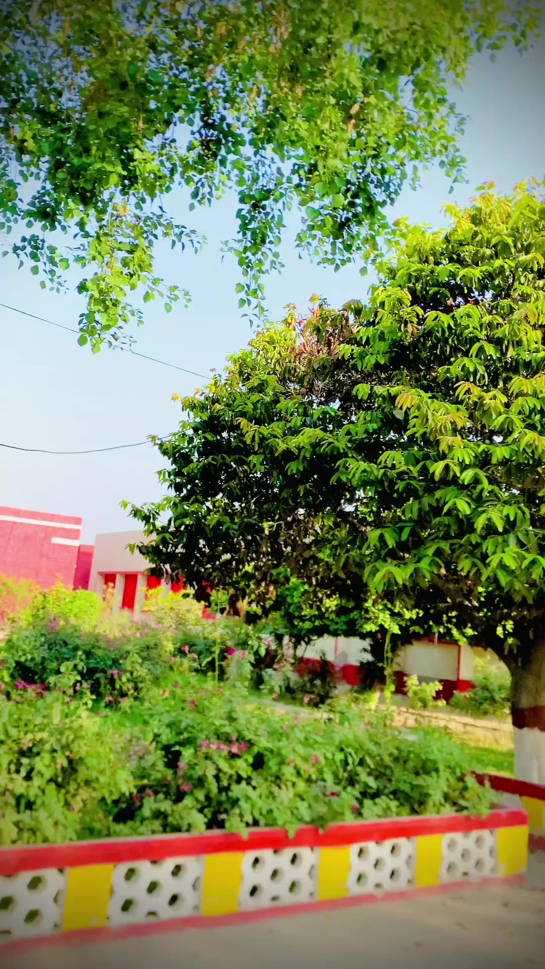 @Makki sahil 804