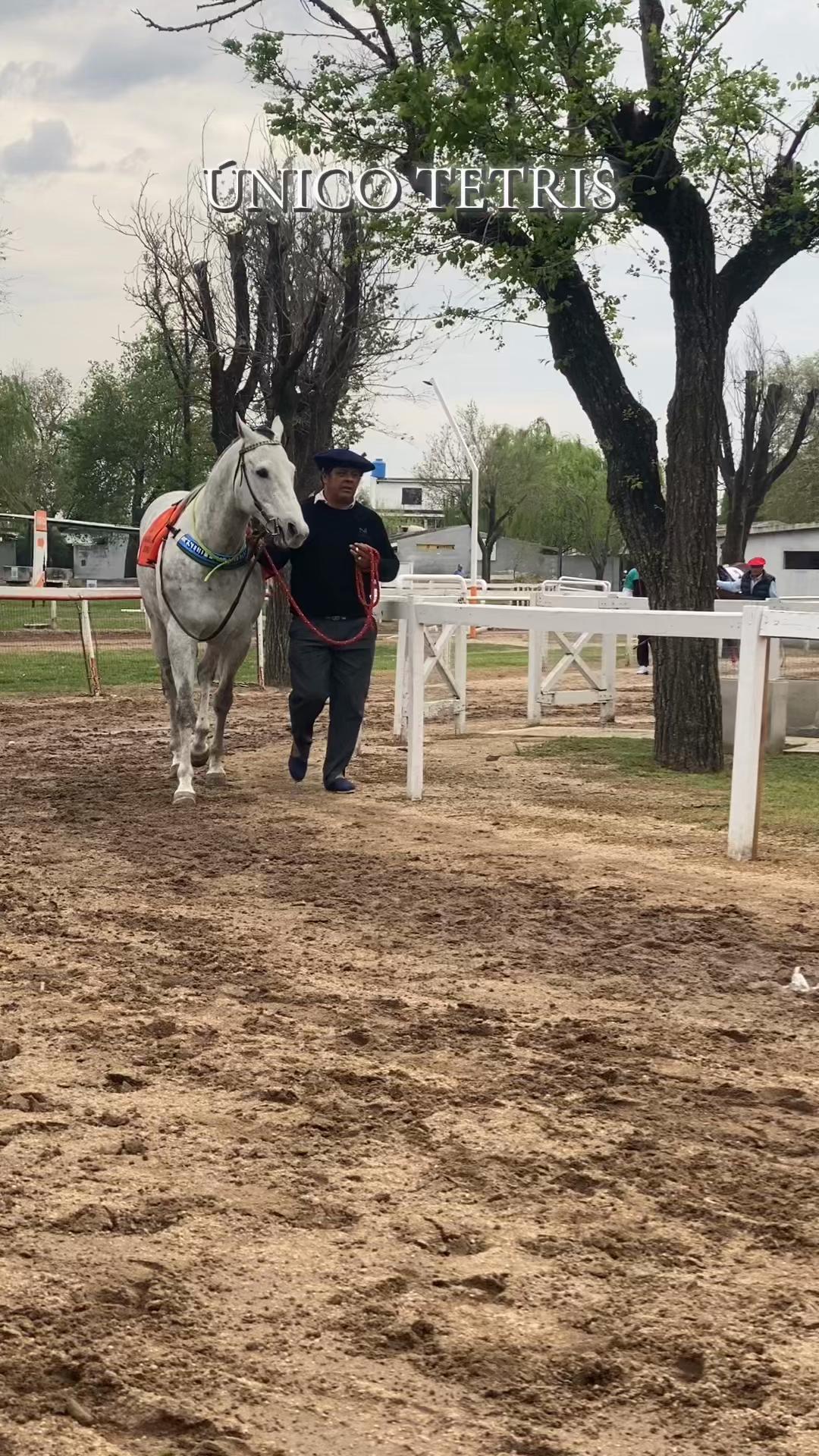 @Sofii Brito🏇🏽