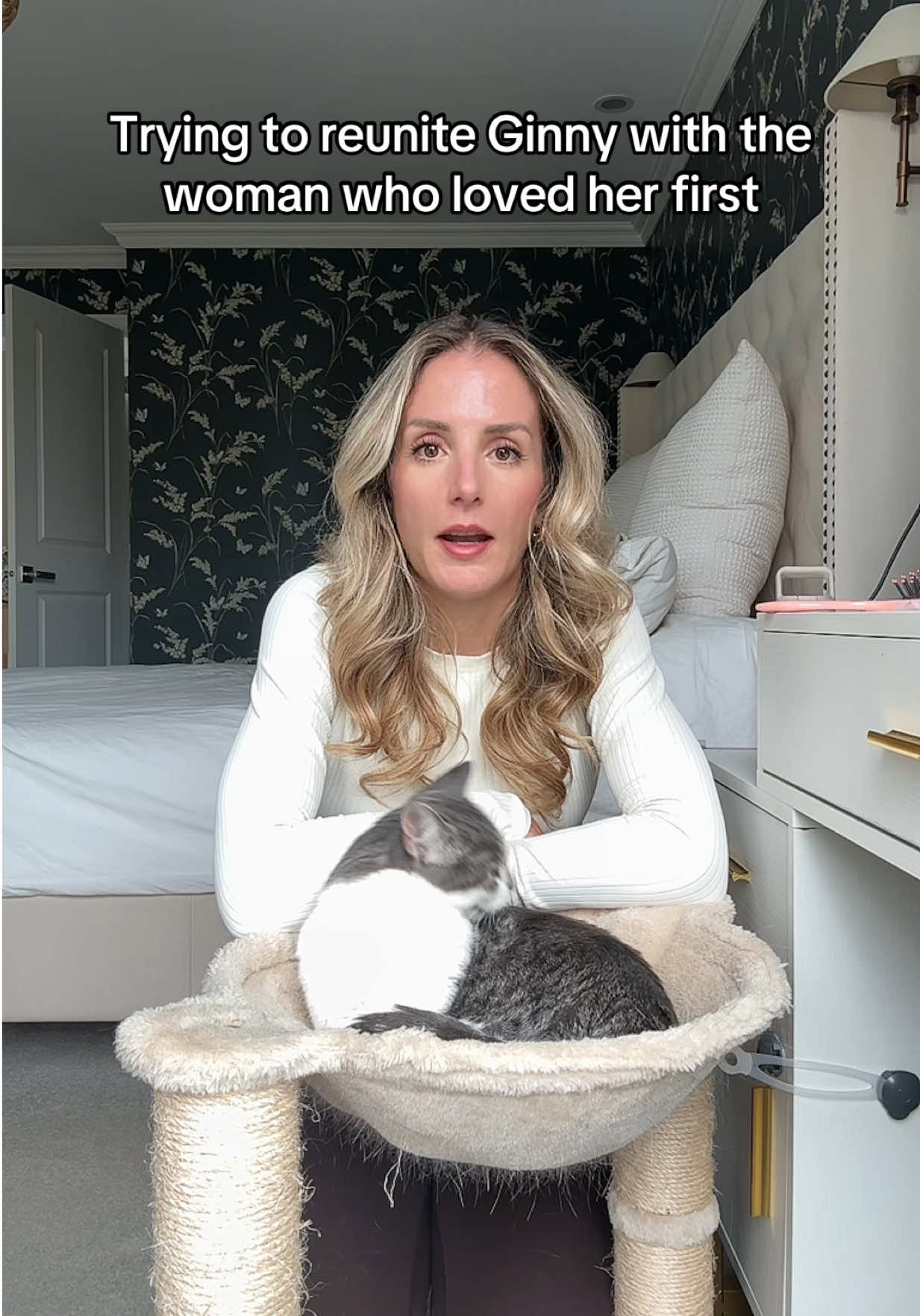 @Krista & Cats: BamBam & Bonnie