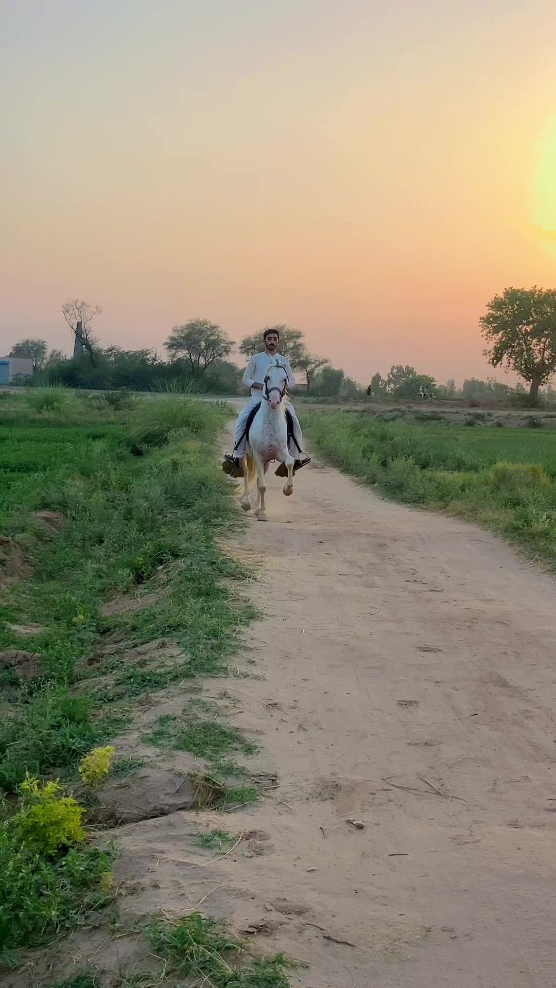 @Malik_Irfan_Shahbazi
