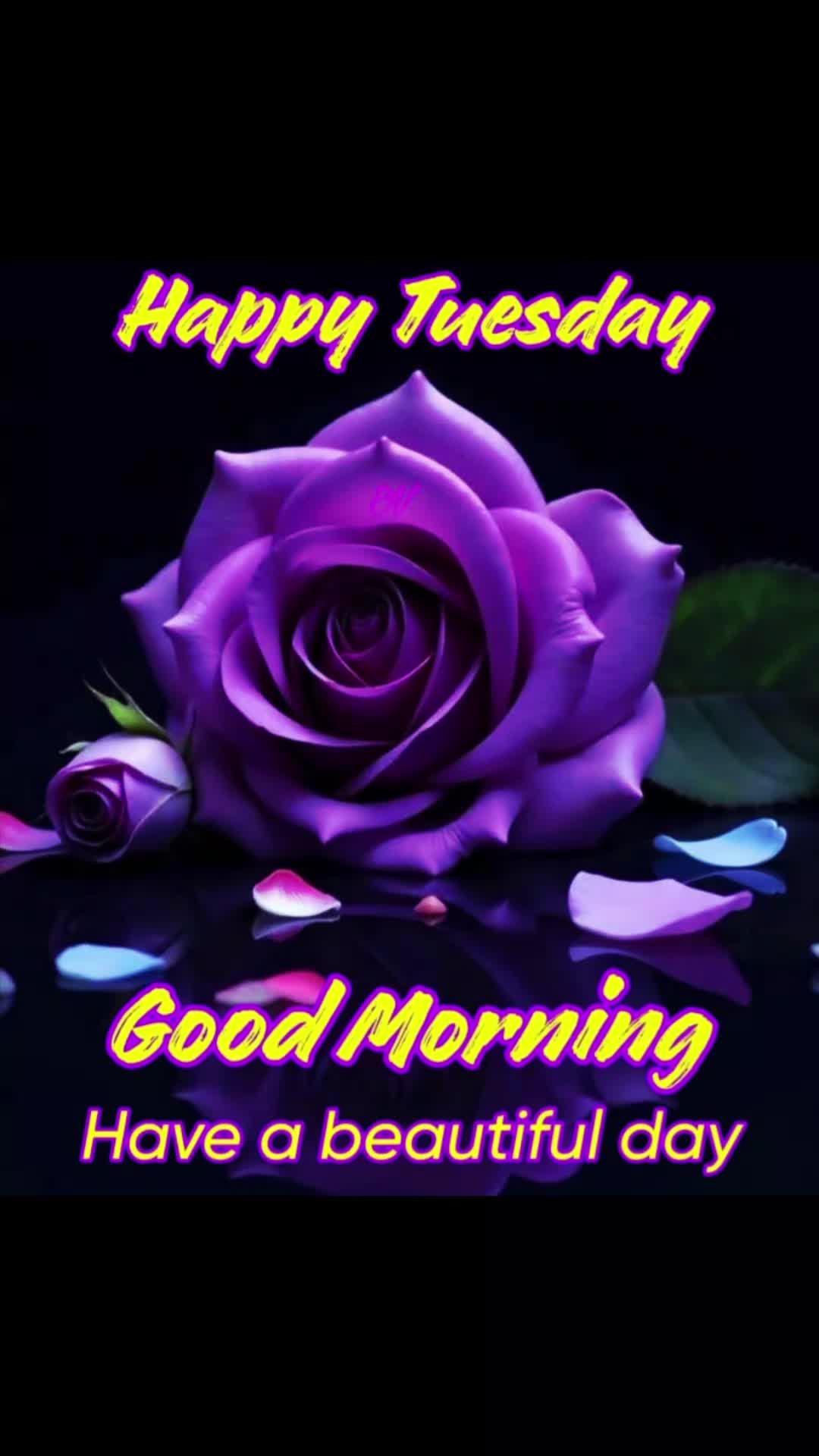 @🌹🦋Moni🦋🌹