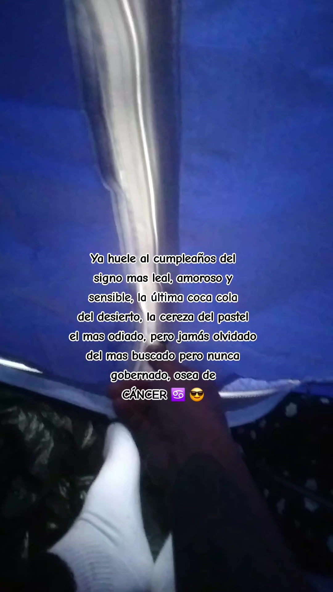 @Calichin🦭