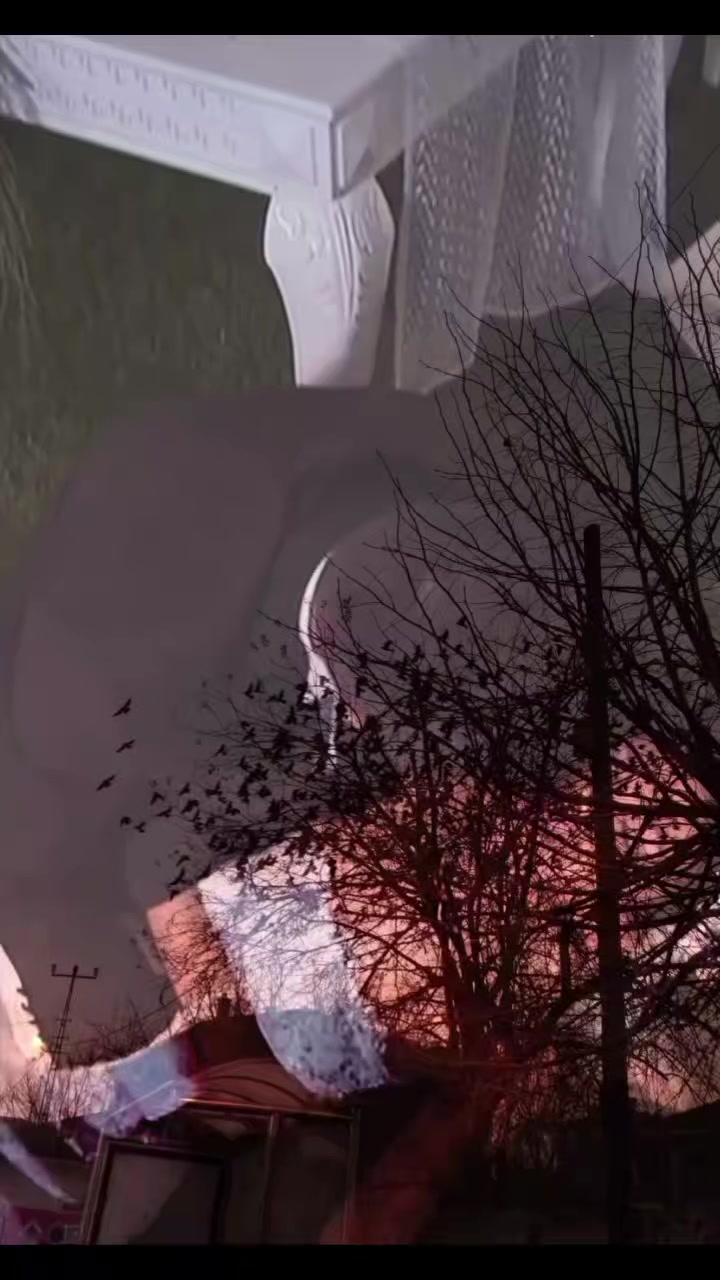 @ツﻬஐﻬ 🅶🅸🆉🅴🅼🅻🅸 🅰🅳🅰🅼 ﻬ